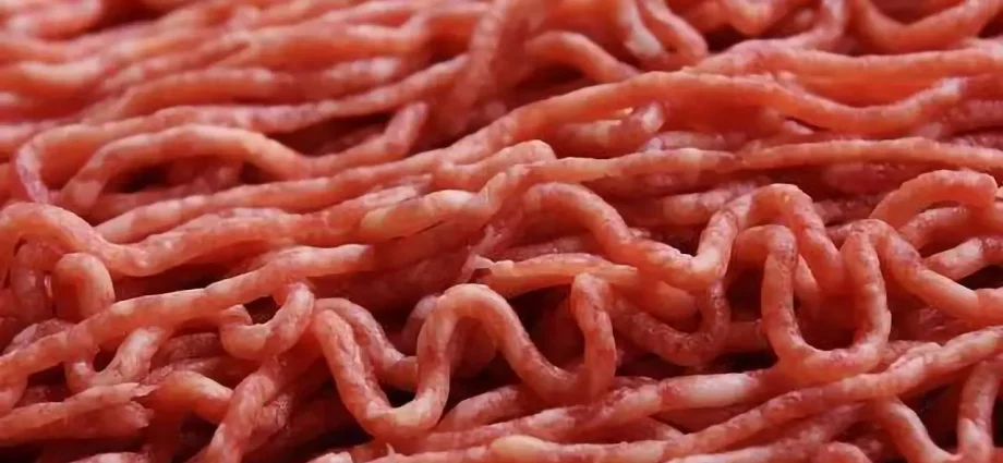 Tapeworm in Czech meat