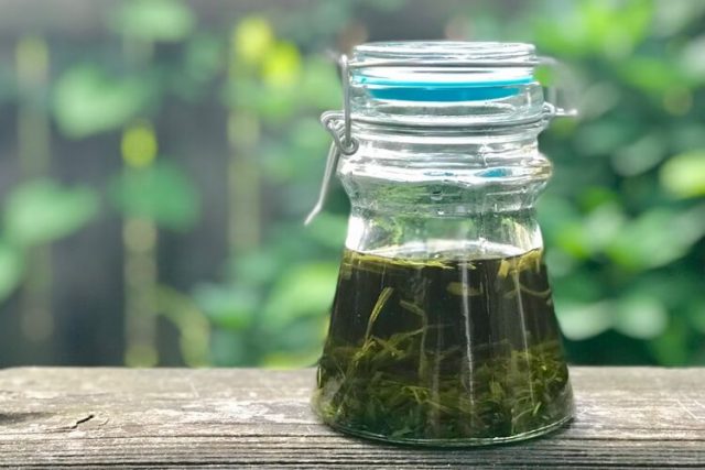 Tarragon and moonshine tincture recipes