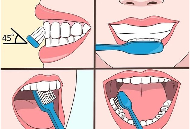 Tartar removal &#8211; home and dental methods