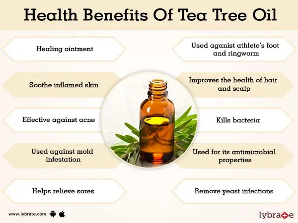 Tea oil &#8211; properties, benefits, effects, side effects