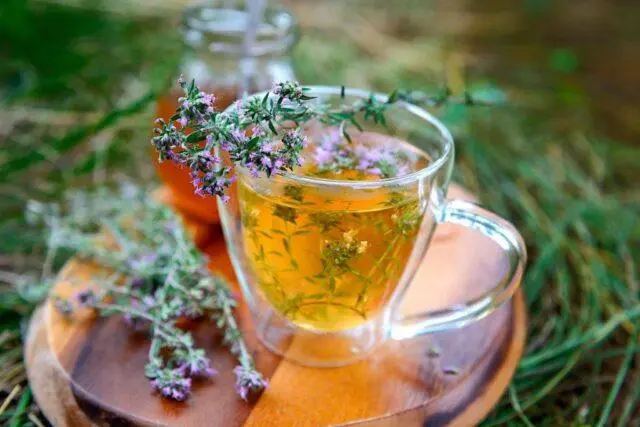 Tea with thyme: benefits and harms for men and women, how to brew, reviews