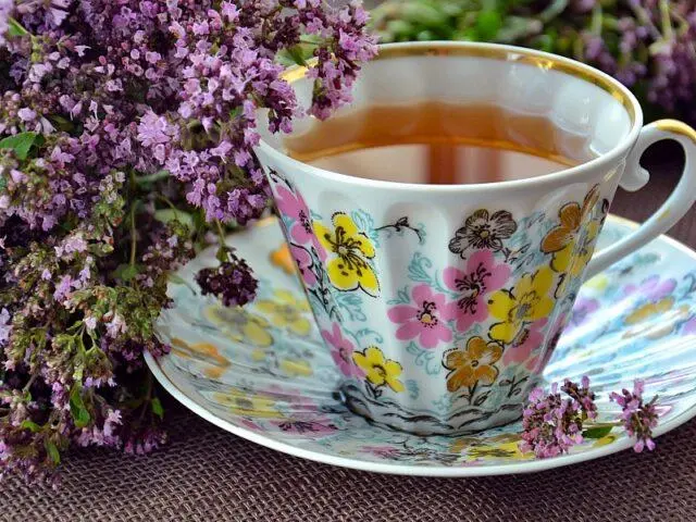 Tea with thyme: benefits and harms for men and women, how to brew, reviews