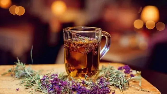 Tea with thyme: benefits and harms for men and women, how to brew, reviews