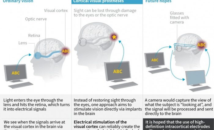 Technology straight from SF movies will show the world to the blind. Dutch scientists are developing a vision implant