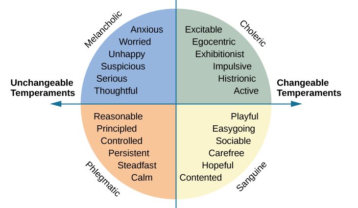 Temperament &#8211; how much does it define our personality?