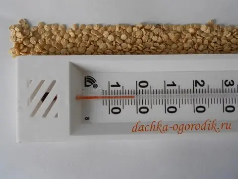 Temperature regime for tomato seedlings 