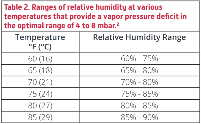 Temperature regime for tomato seedlings 