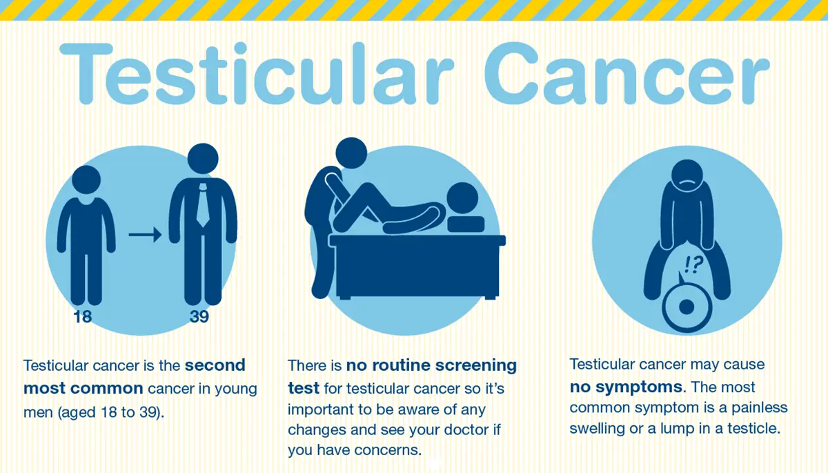 Testicular cancer is the most common cancer in young men. What are the symptoms?