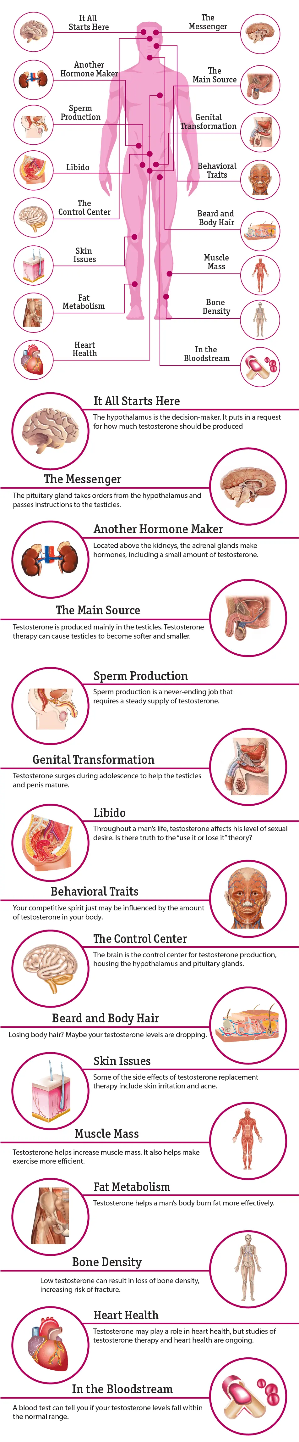 Testosterone gel can be dangerous for seniors