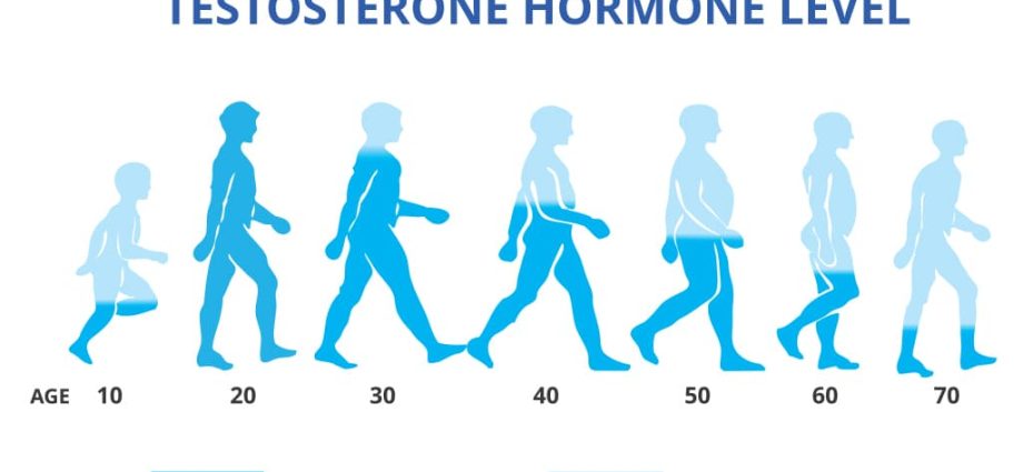 Testosterone: the most masculine hormone