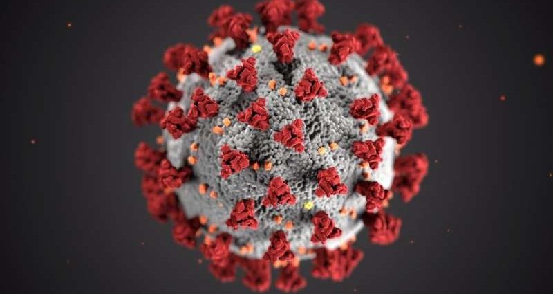 The «Achilles&#8217; heel» of the coronavirus? Interesting discovery by scientists