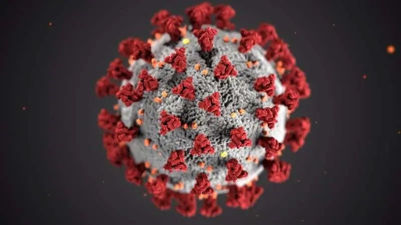 The «Achilles&#8217; heel» of the coronavirus? Interesting discovery by scientists