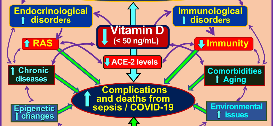 The alphabet of immunity. Vitamins to help you avoid infection