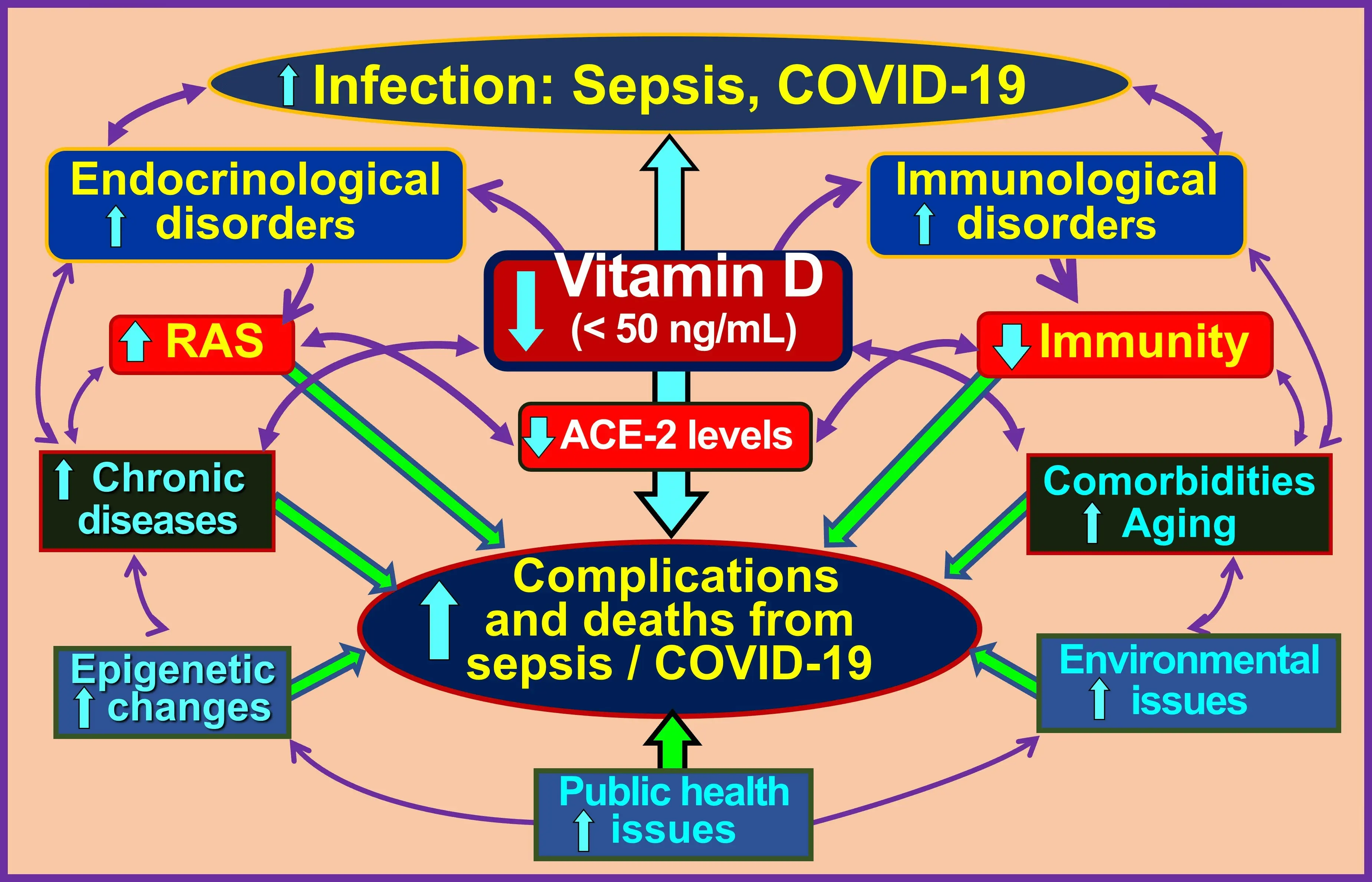 The alphabet of immunity. Vitamins to help you avoid infection