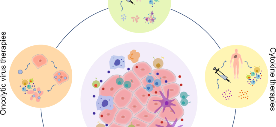 The anti-cancer drug rejuvenates the immune system