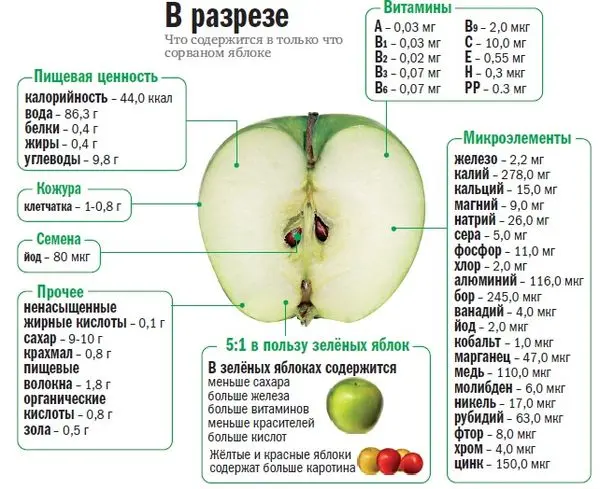 The benefits and harms of baked apples for health and the body, the chemical composition and calorie content of the product + cooking recipes