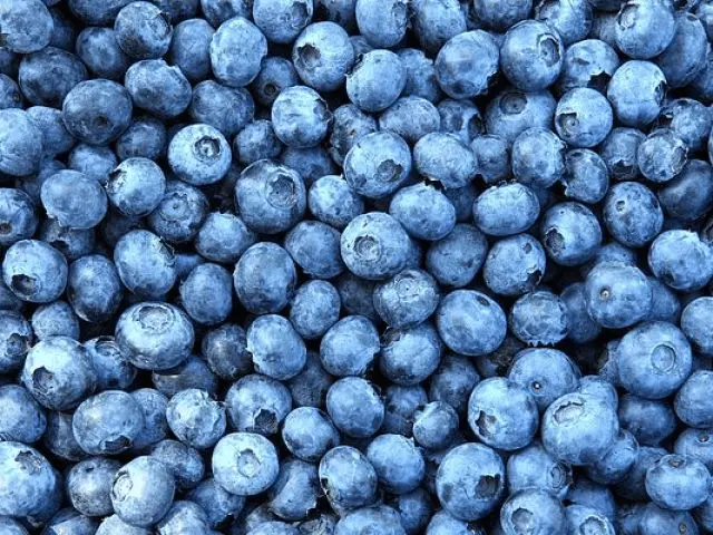 The benefits and harms of blueberries