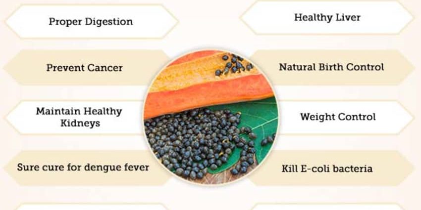 The benefits and harms of dried papaya