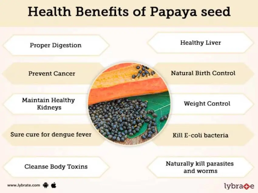 The benefits and harms of dried papaya