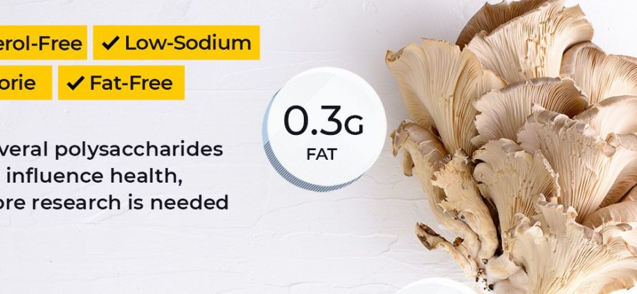 The benefits and harms of oyster mushrooms: chemical composition, rules of use and contraindications + use in medicine and cosmetology