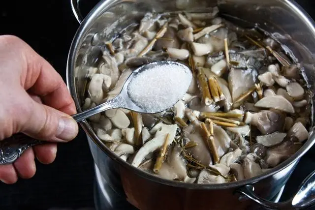 The benefits and harms of oyster mushrooms for the body