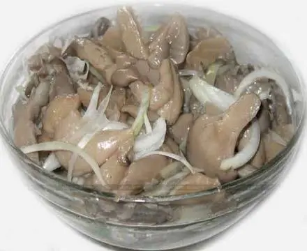 The benefits and harms of oyster mushrooms for the body