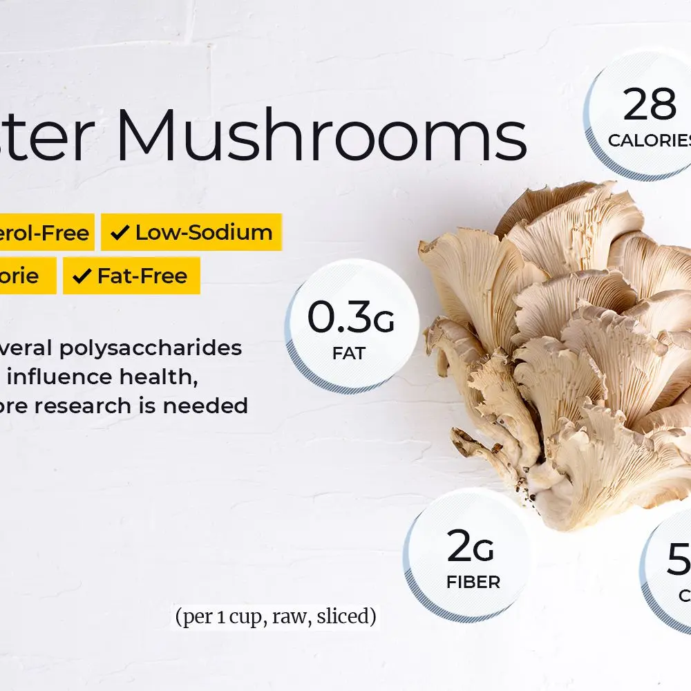 The benefits and harms of oyster mushrooms for the body