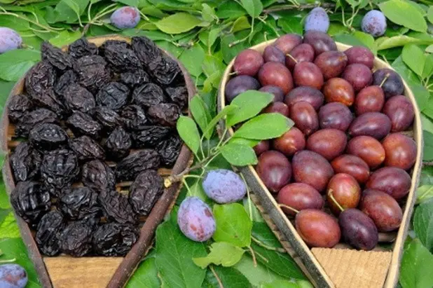 The benefits and harms of prunes