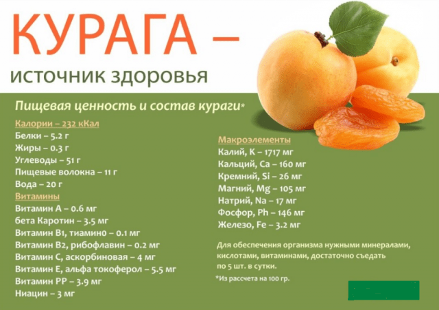 The benefits of apricots for the human body: men, women, pregnant women