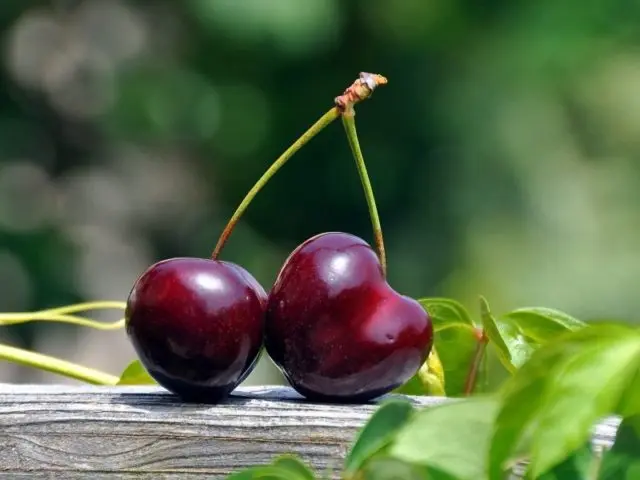 The benefits of cherries during pregnancy and breastfeeding: vitamin content, what are the benefits of fresh, frozen berries