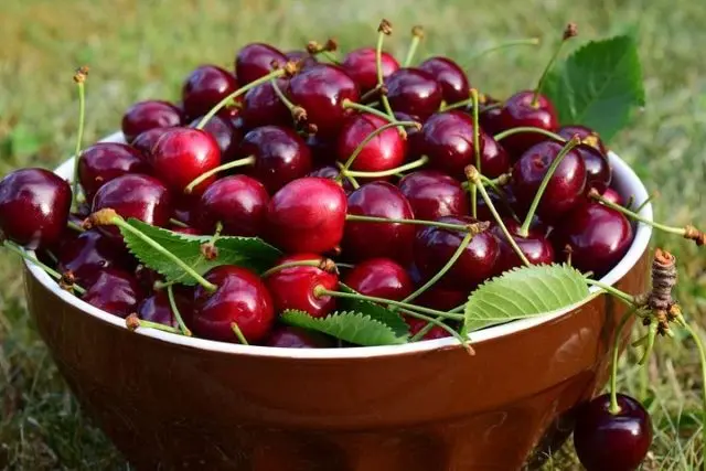 The benefits of cherries during pregnancy and breastfeeding: vitamin content, what are the benefits of fresh, frozen berries