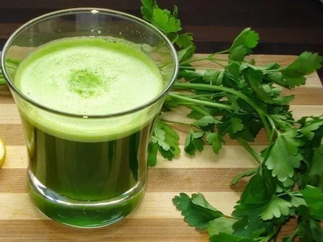 The benefits of parsley for weight loss: decoction, infusion, tea, tincture