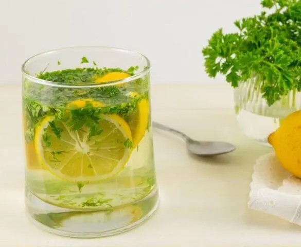 The benefits of parsley for weight loss: decoction, infusion, tea, tincture