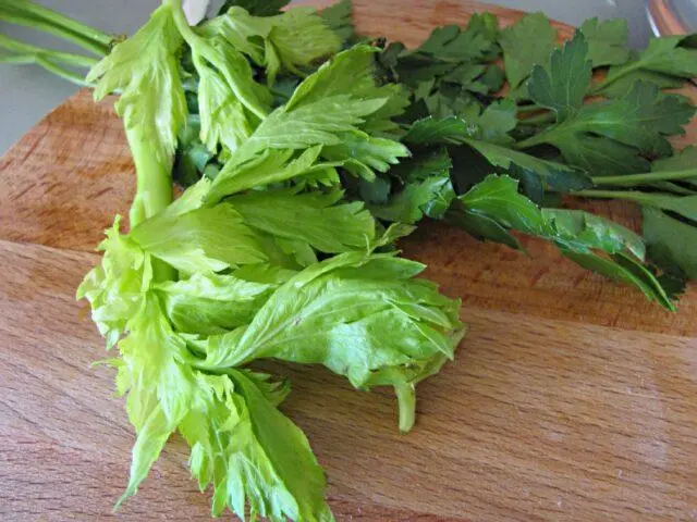 The benefits of parsley for weight loss: decoction, infusion, tea, tincture