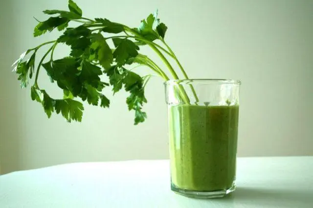 The benefits of parsley for weight loss: decoction, infusion, tea, tincture