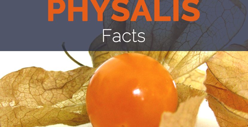 The benefits of physalis edible