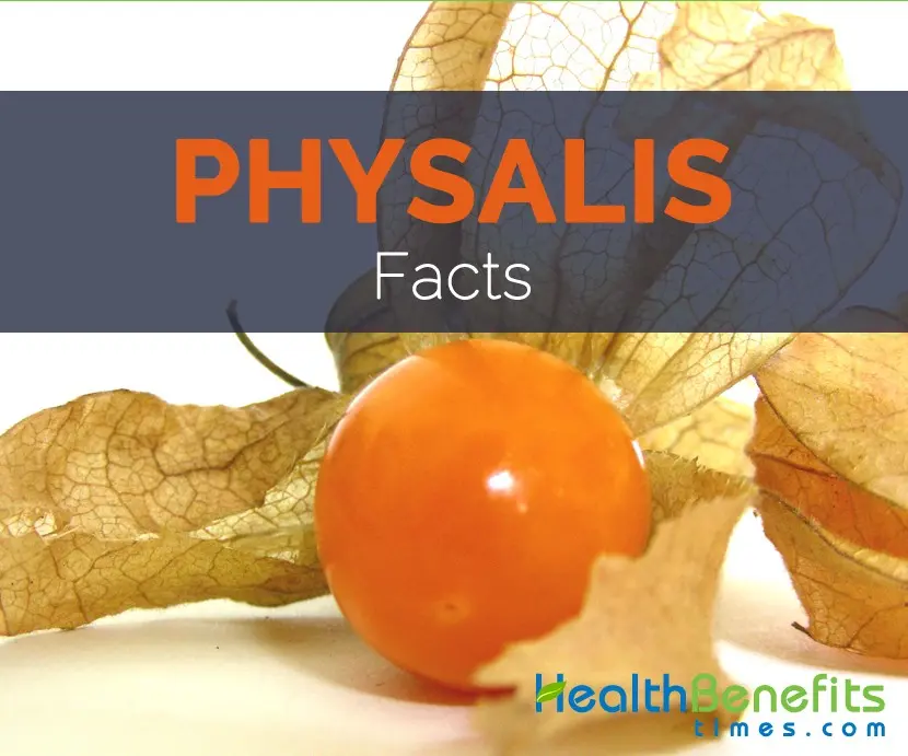 The benefits of physalis edible