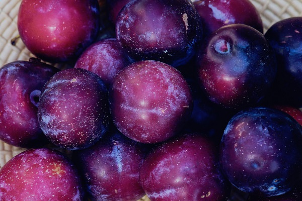 The benefits of plums for the human body