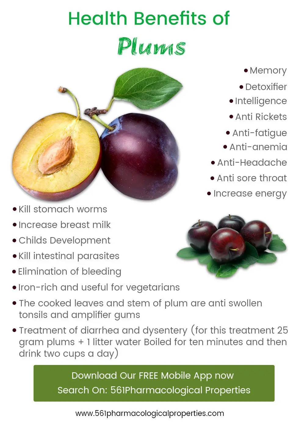 The benefits of plums for the human body