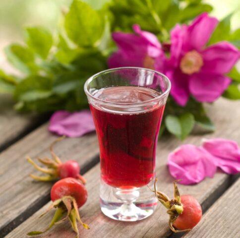 The benefits of rosehip tincture and contraindications for use