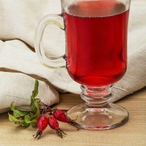 The benefits of rosehip tincture and contraindications for use