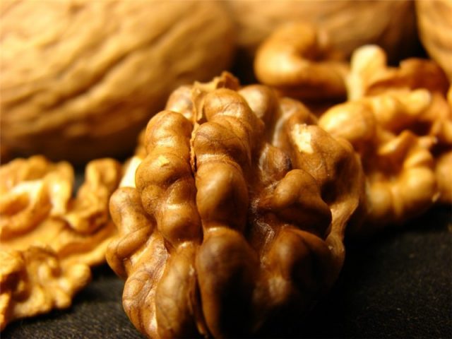 The best and frost-resistant varieties of walnut