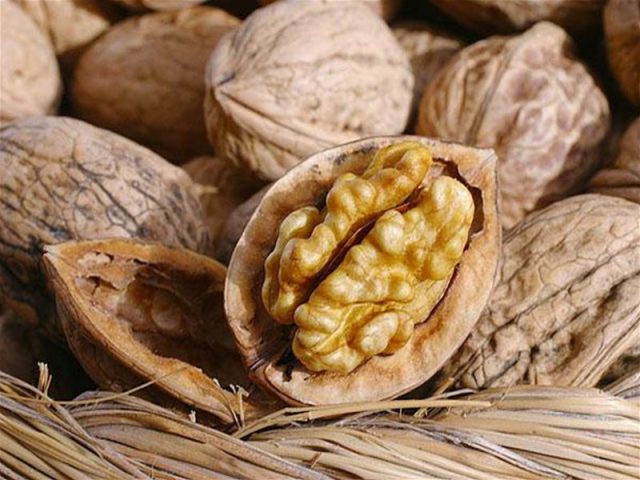 The best and frost-resistant varieties of walnut