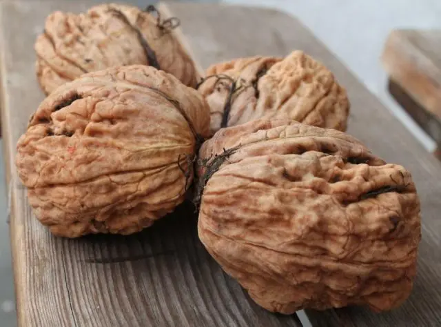 The best and frost-resistant varieties of walnut