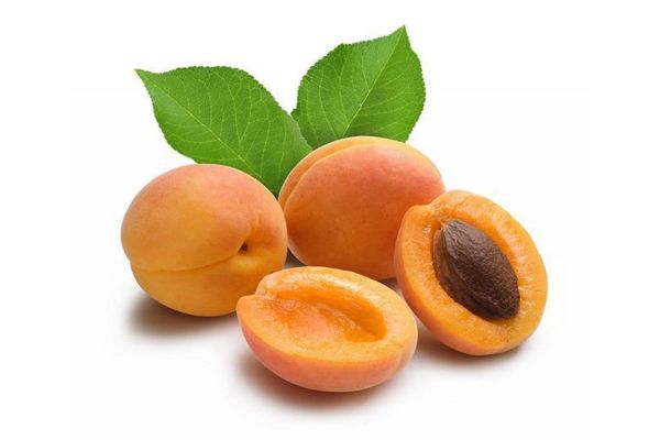 The best apricot orta for central Our Country