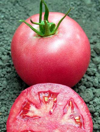 The best determinant varieties of tomatoes for greenhouses