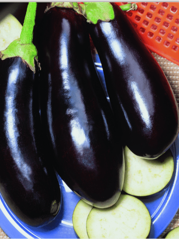 The best early eggplant varieties