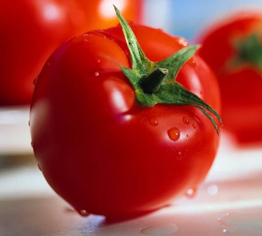 The best early ripening varieties of tomatoes