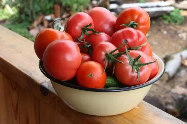 The best early ripening varieties of tomatoes