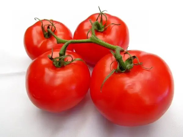 The best early varieties of tomatoes for open ground